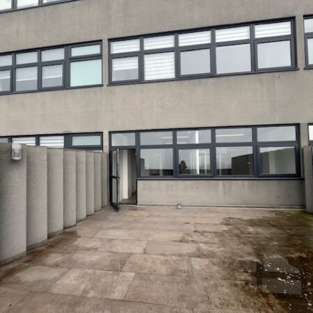 IMG_0195 (1)