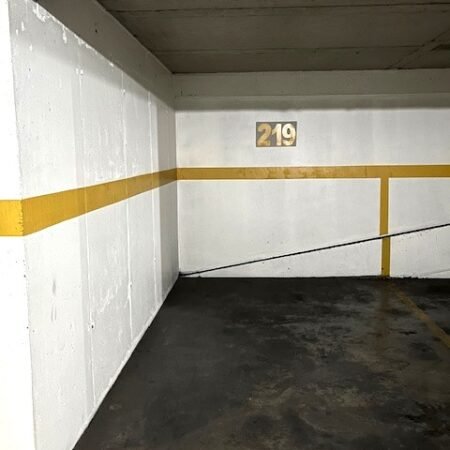 IMG_0369