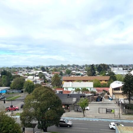 IMG_2062 (1)