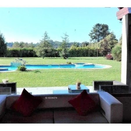 palomar2